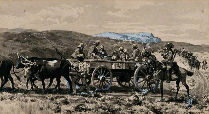 Boer War: Men in an Ambulance Cart Drawn by Cows