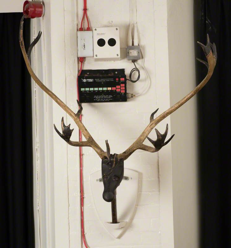 Abbots Bromley Horn Dance Antlers*