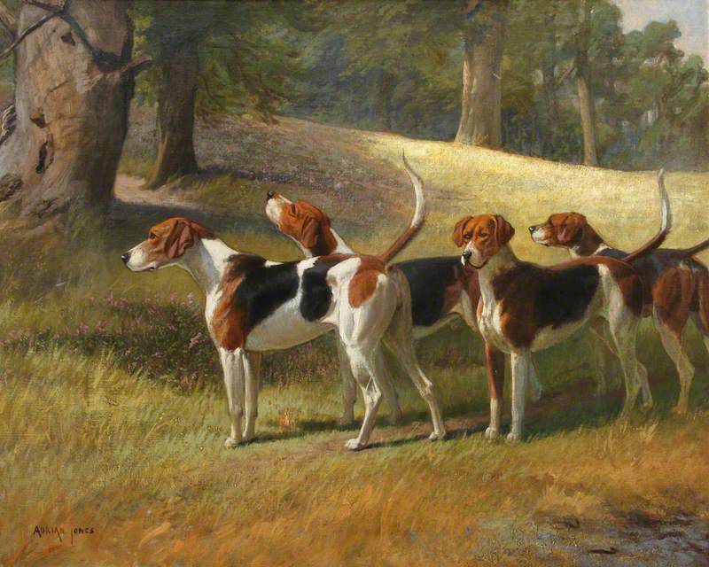 Foxhounds