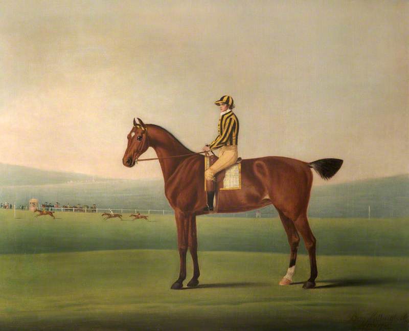 Mr Walsh's 'Perdita', with Jockey Up, on Nantwich Racecourse
