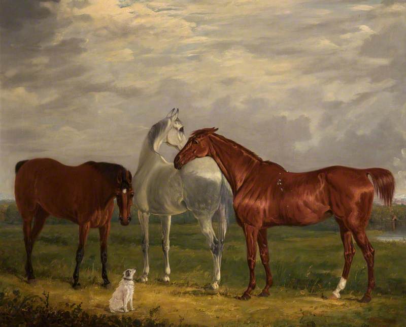 Three Horses of the 2nd Lord de Tabley and His Dog, 'Vic'