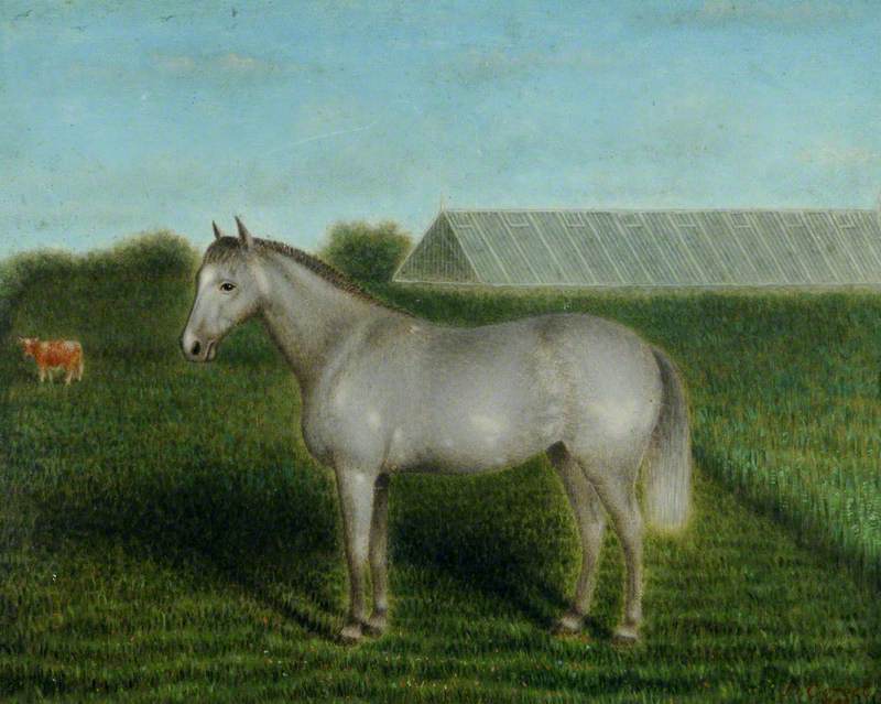 Grey Pony in front of a Vinery
