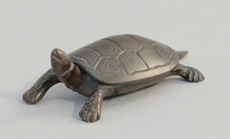 Tortoise