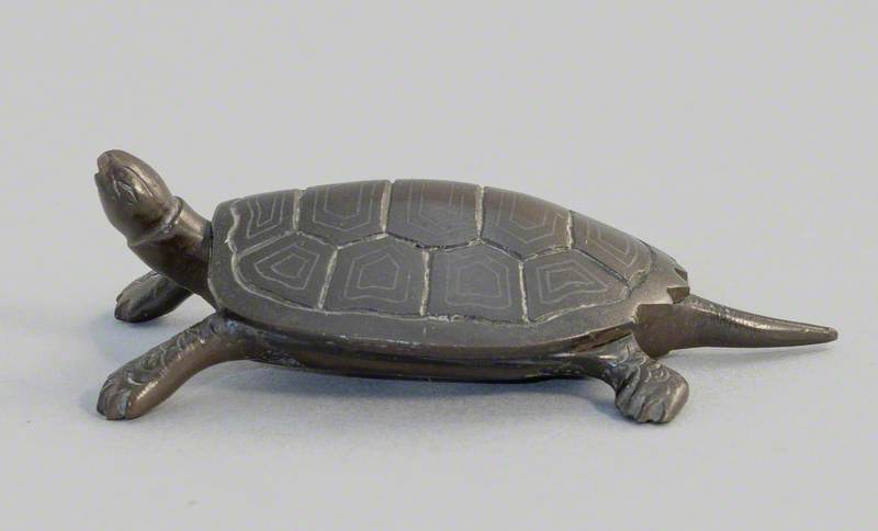 Tortoise