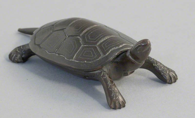 Tortoise