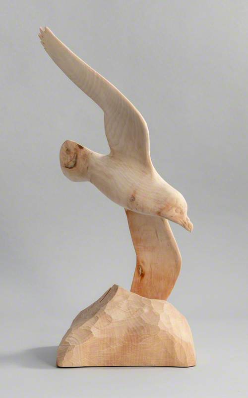 Fulmar in Flight