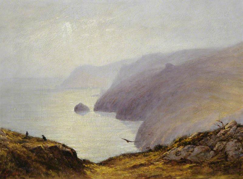 Rocky Coast Scene with Birds