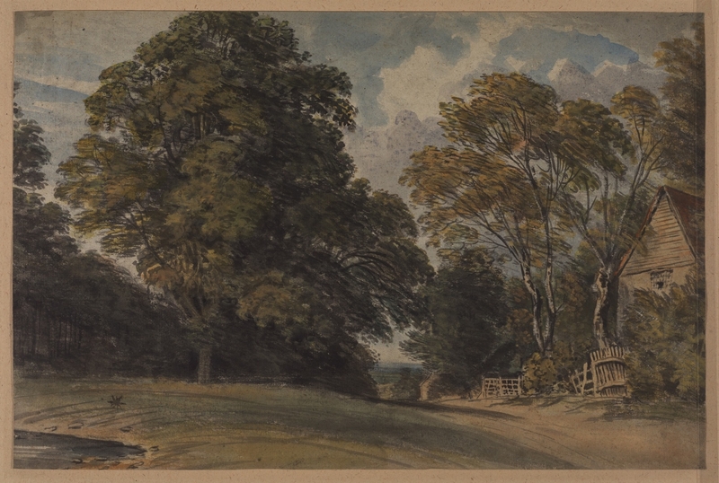Landscape View of a Large Tree and Houses in Horton