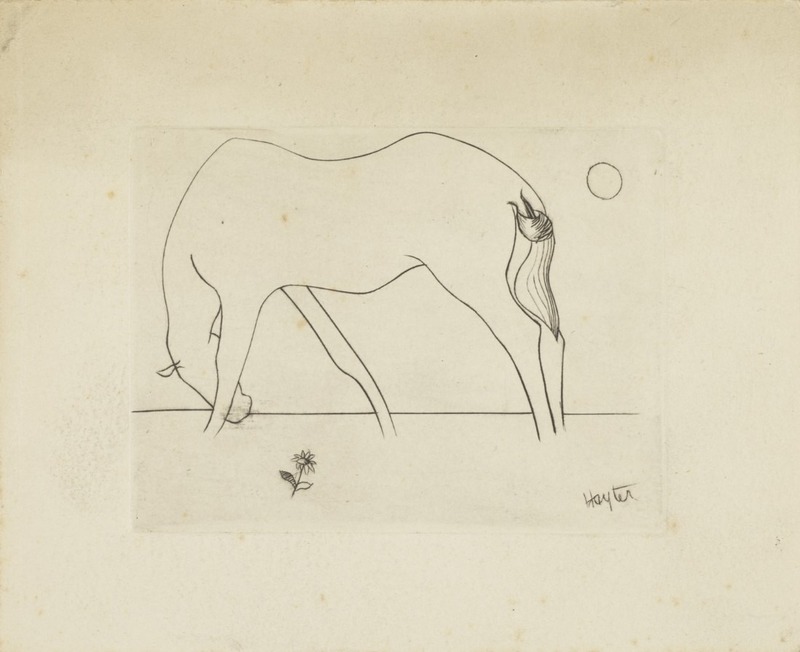 Small Horse