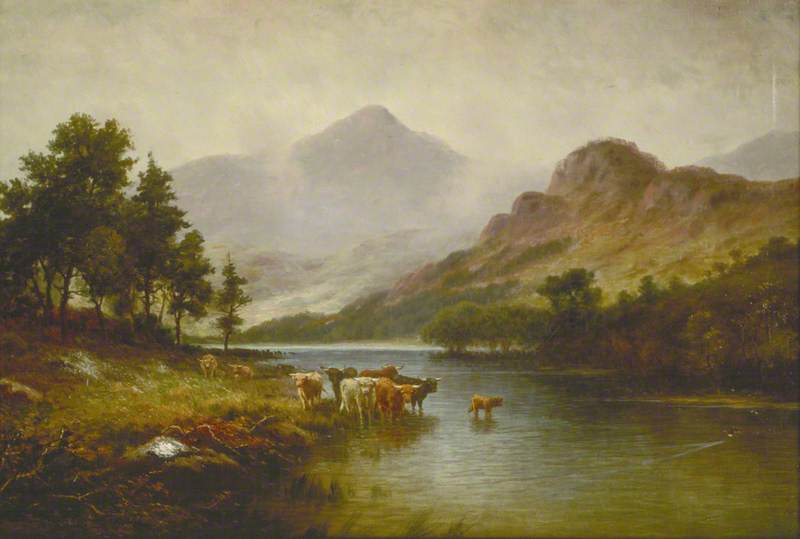 Highland Cattle in a River Landscape