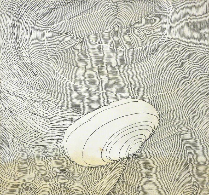 Shell