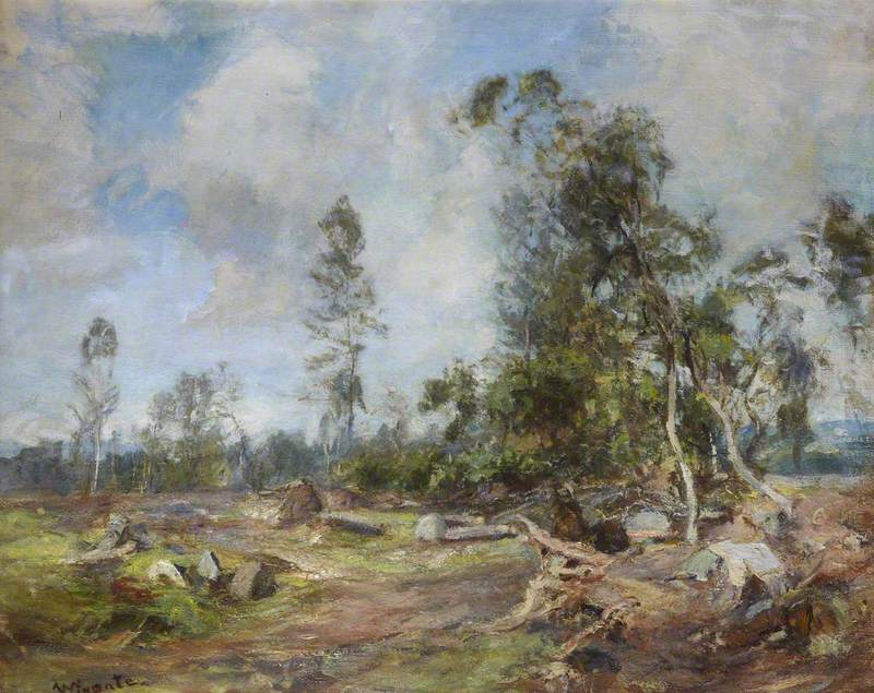 Woodland Scene