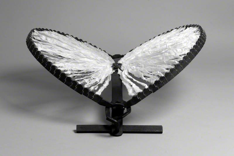 Angel Wings