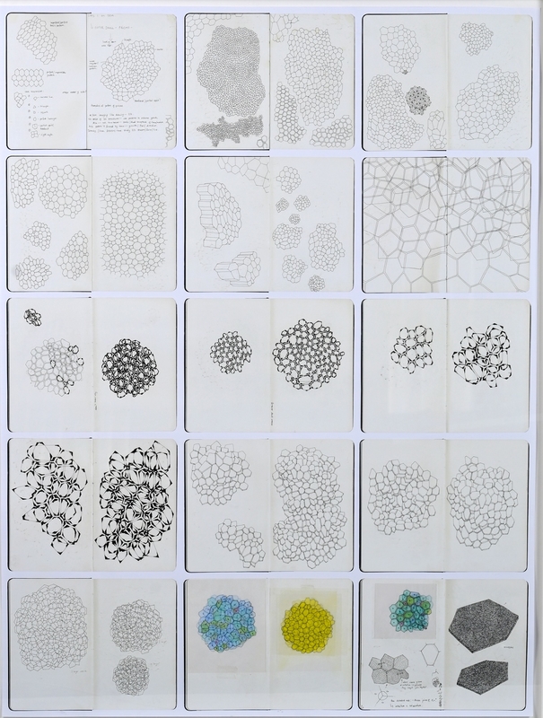 Drawings from Three Sketchbooks (i)
