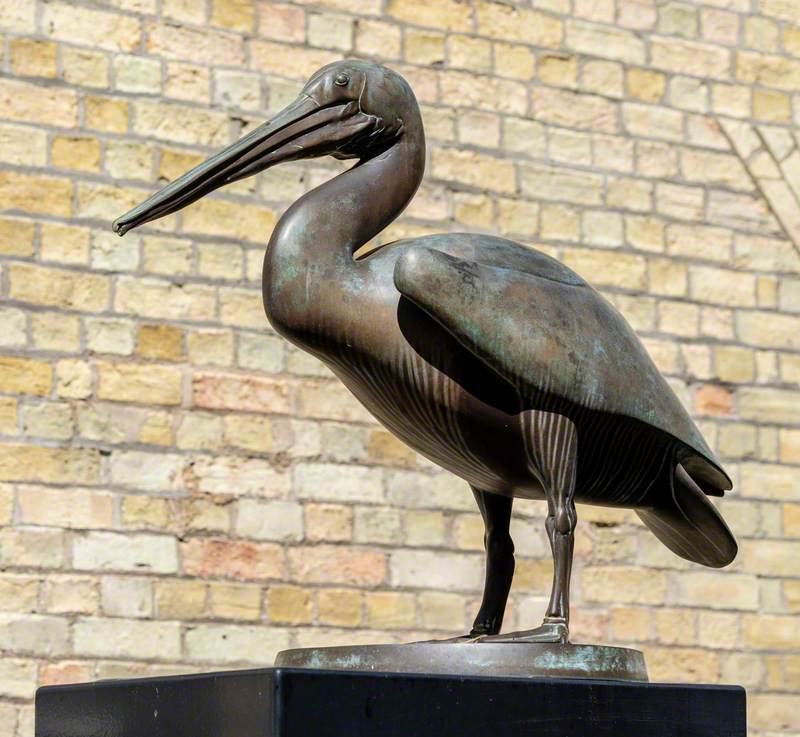 Pelican*