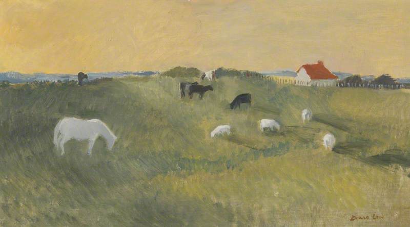 Horse and Sheep Grazing