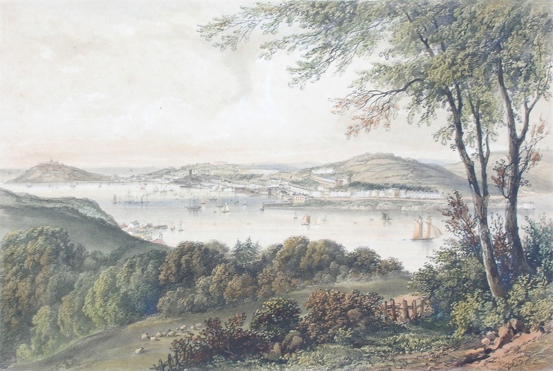 Falmouth Town and Harbour (from near Tregew)