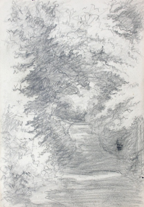 Sketch of Dense Foliage and Stream