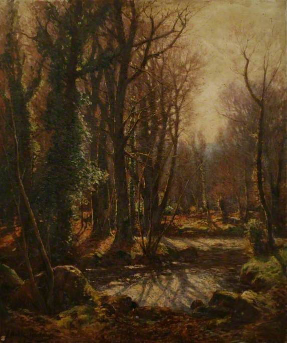 Autumnal Woodland Scene