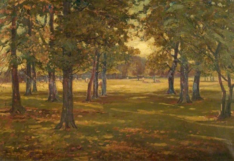 First Touch of Autumn, Rowditch, Derby