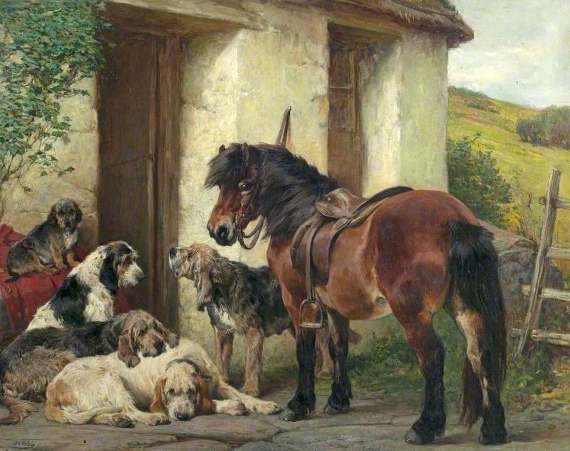 Shetland Pony and Dogs