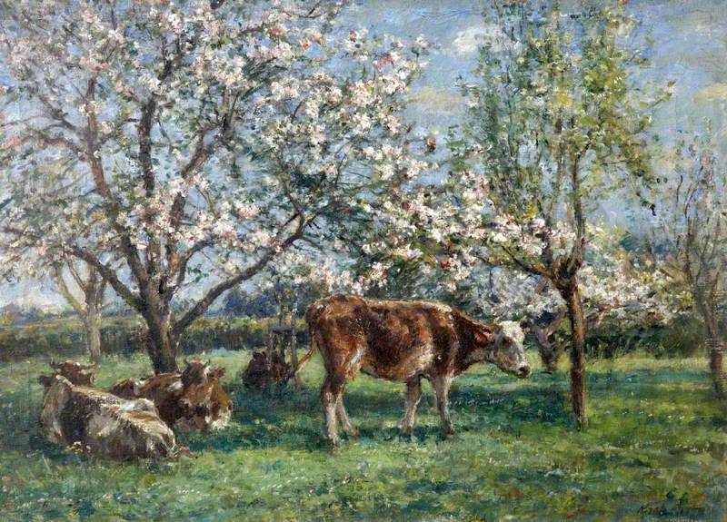Spring in Orchard