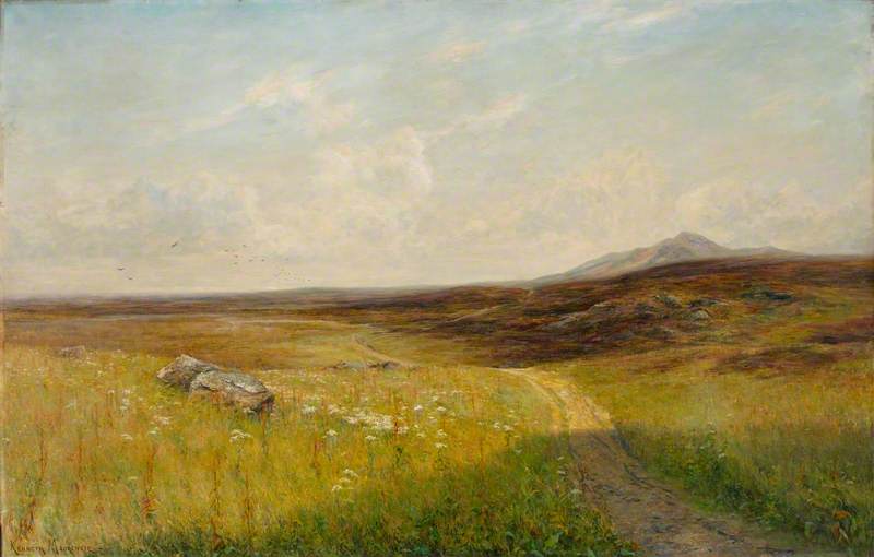 Meadow and Moorland