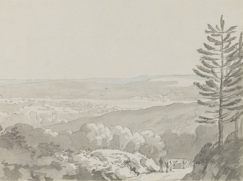 Overlooking the Exe estuary