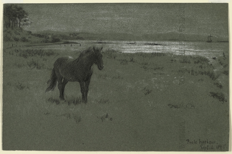 Poole Harbour, September 4th 1895