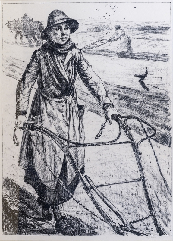 On the Land – Ploughing