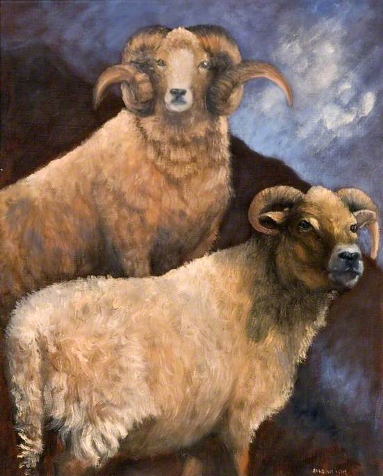 Portland Ram and Ewe