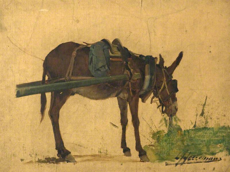 Study of a Mule (or Study of a Donkey)