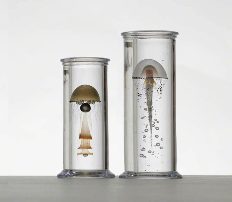 Two Specimen Jars