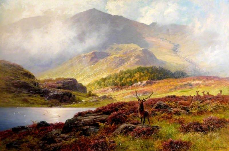 Highland Scene with Stag