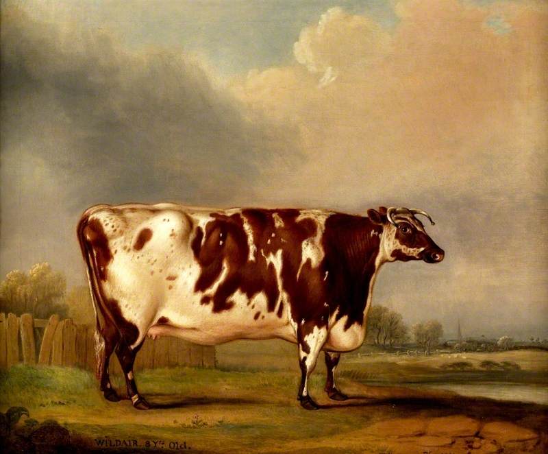'Wildair'