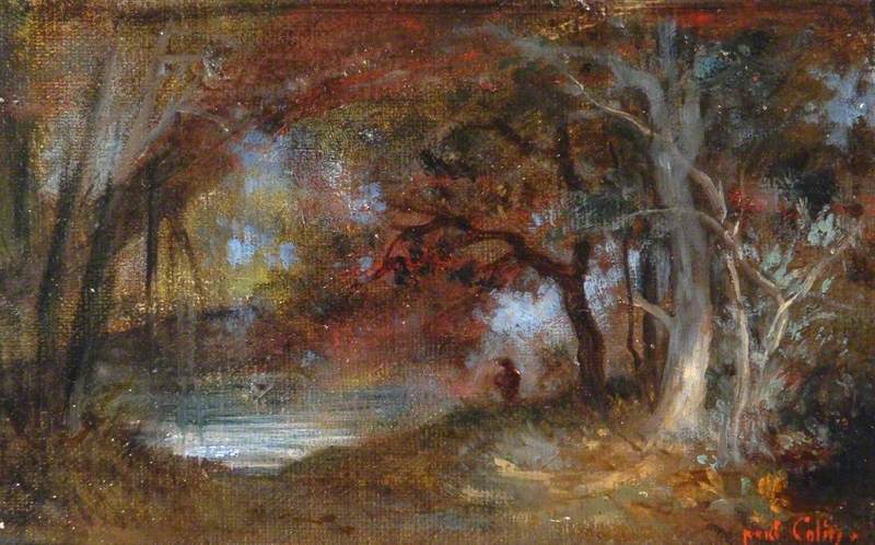 Lake in a Forest