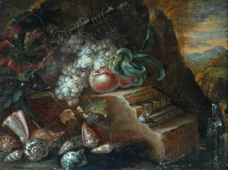 Fruit and Shells