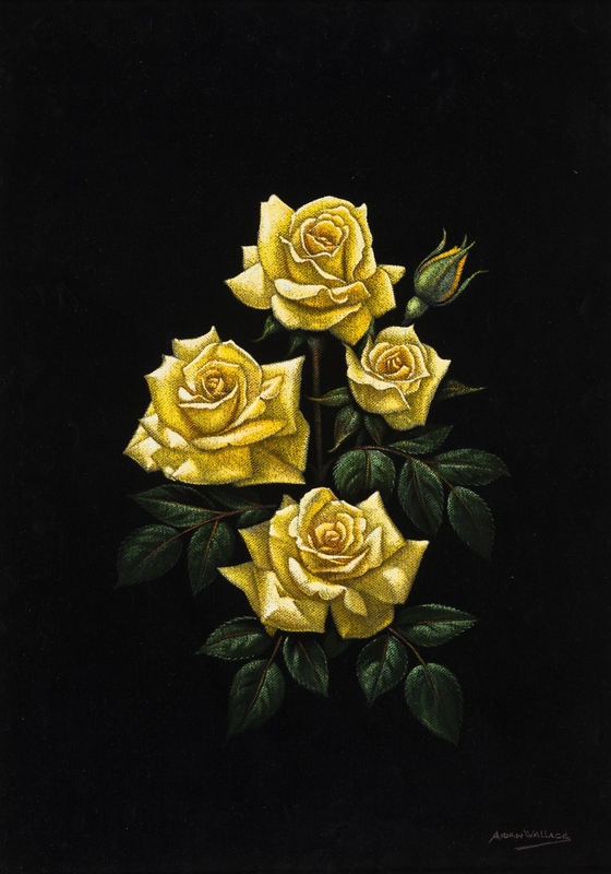 Yellow Roses on Black Velvet