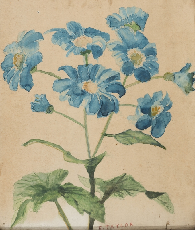 Blue Flowers