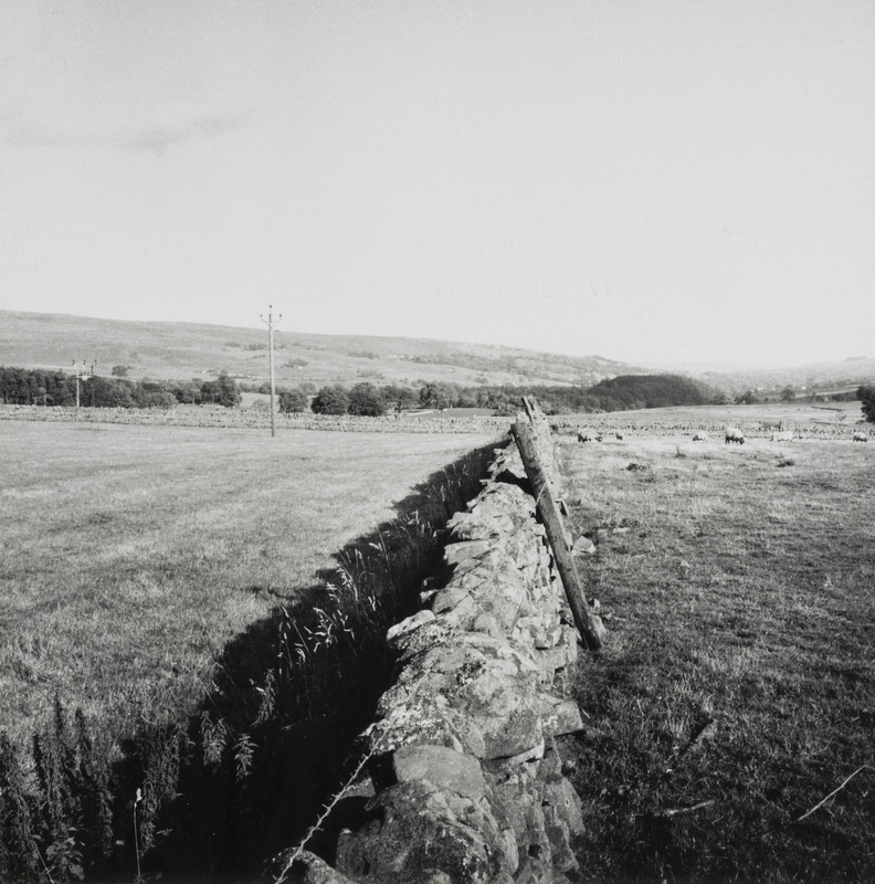 Wall towards Bowlees