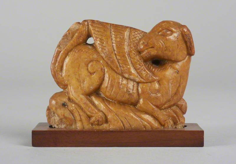 Winged Animal