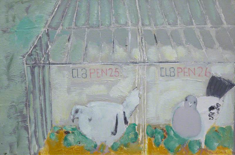 Two Pigeons