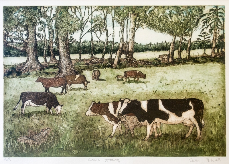 Cows Grazing