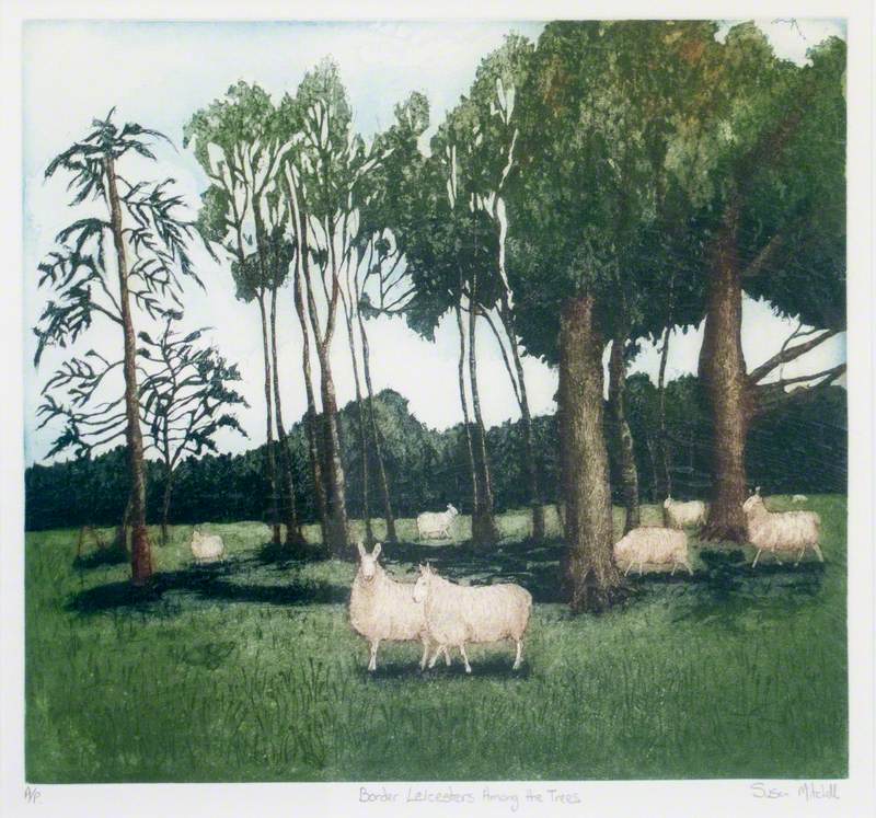 Border Leicesters among the Trees