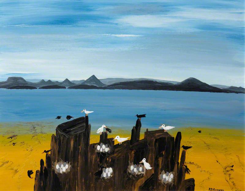 Sea Birds Nesting
