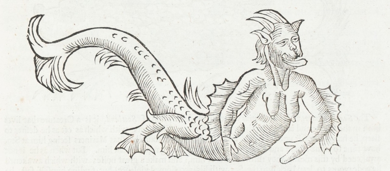 Sea Monster
