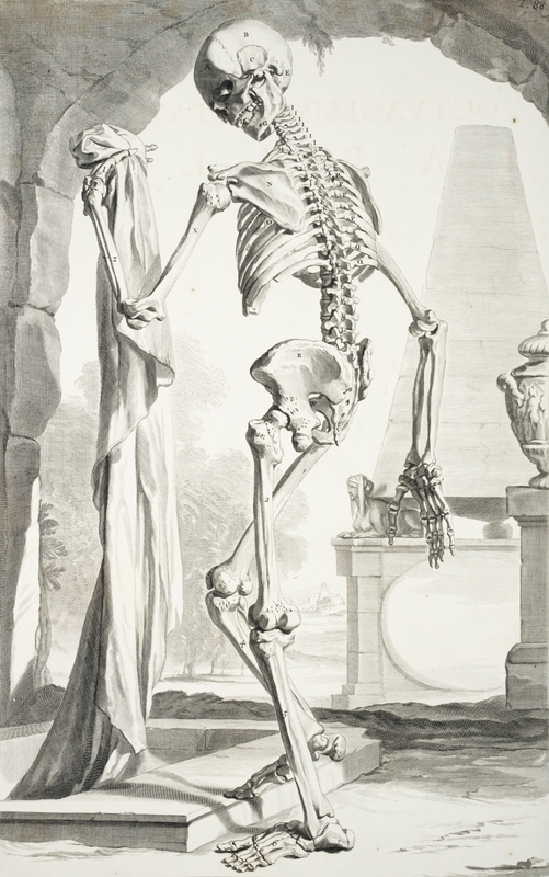 Skeleton with Burial Shroud