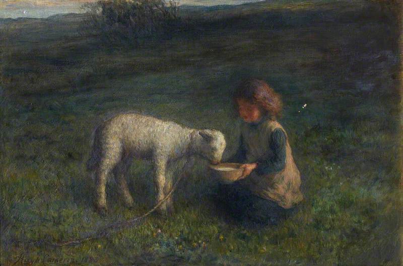 The Pet Lamb