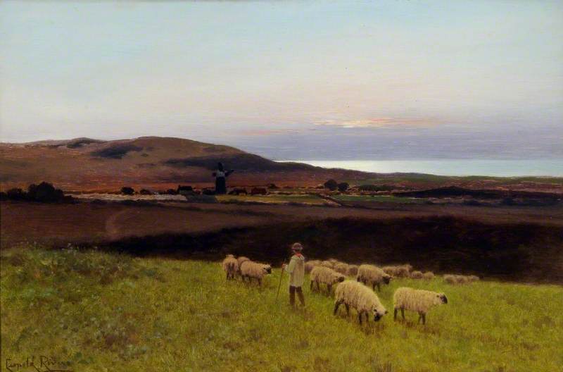 Moorland with Sheep