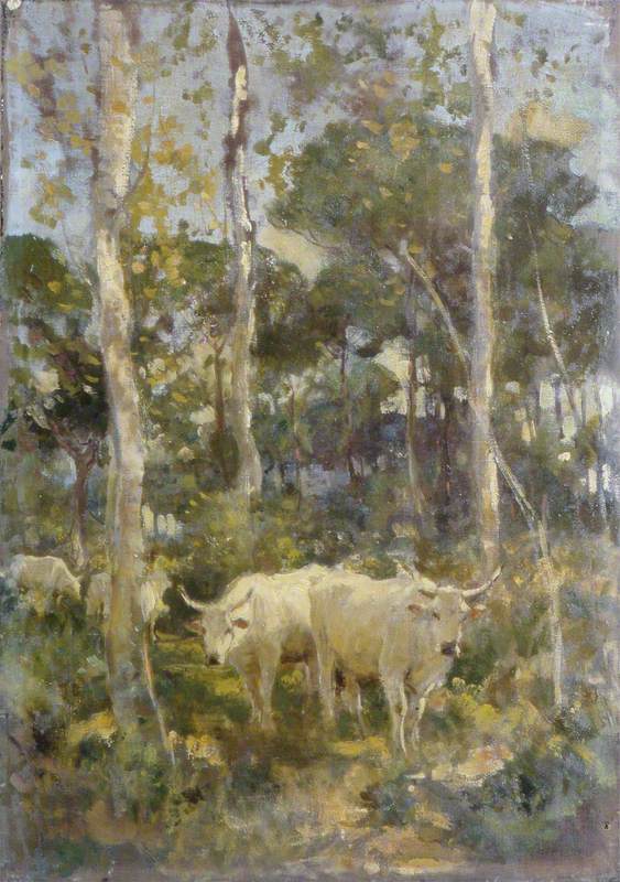 Cattle in a Wood